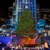 ニューヨーカーなら一度は このシーズンに訪れたい　83RD ROCKEFELLER CENTER TREE  LIGHTING 2015