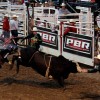 世界のブルライダーが最高峰を競う　Professional Bull Riders