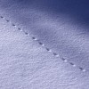 野生動物の足跡をたどる　Animal Tracks