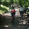 新緑の下を駆け抜ける　Bike Tour: Great Trees of Inwood and Riverdale