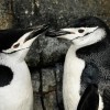 母の日は動物園で　MOTHER’S DAY CELEBRATION