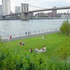 公園をきれいに　Green Team at Brooklyn Bridge Park