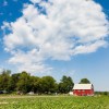 野菜をおいしく　Bradley Farm and Brooklyn Museum Fall Field-to-Fork Dinner