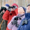 野鳥の大調査会　Christmas Bird Count: Central Park