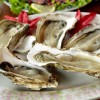 Oyster Culture and Sustainable Seafood Workshop