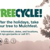 クリスマスツリーをリサイクル　MulchFest