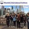 10週間コースに 新プログラム　BLUEDATA INTERNATIONAL INSTITUTE