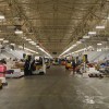 Behind-the-Scenes @ New Fulton Fish Market, World’s 2nd Largest Fish Market