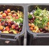 Trash Talking How NYC is Fighting Food Waste