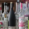 MEZCAL 101