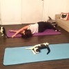 Yoga & Kitties