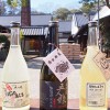 発酵とSAKE Tasting