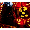 The Great Jack O’Lantern Blaze