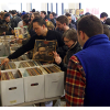 The Brooklyn  Flea Record Fair