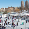 Winter Skating Party