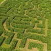 Amazing Maize Maze