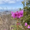 バスと電車と足で行くひろしま山日記　第24回日浦山（ひのうらやま　海田町・広島市安芸区）