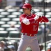 ＭＬＢ＝大谷は無安打、筒香は2点適時打