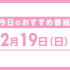 『情熱大陸』森且行、松本潤『どうする家康』、妻夫木聡『Get Ready!』、安藤サクラ『ブラッシュアップライフ』ほか【2月19日（日）のおすすめ番組まとめ】