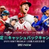 MLB開幕に合わせてSPOTV NOWで【期間限定】1ヶ月キャッシュバックキャンペーン実施！