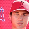 ＭＬＢ公式サイト「球団別の欠かせない選手」にエンゼルス大谷翔平、カブス鈴木誠也を指名