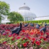 ニューヨーク植物園　彫刻と庭園の新しい展示会