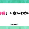 「龍猫」←意味わかる？世界中のファンから愛される日本のあのアニメ映画