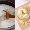 【ニンニクが本気出してる】4年に1度の禁断の味。ほくほく美味しい「ニンニク丸ごとご飯」のレシピ