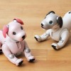 ソニーが『aibo』の里親プログラム開始。飼い主の「老後の不安」に応える