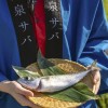 海なし県・埼玉でサバの陸上養殖に成功