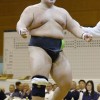 相撲少年個人は福崎が優勝