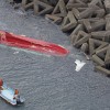 三重・鳥羽沖で漁船転覆1人死亡