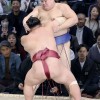 九州場所、豊昇龍と琴桜が9勝目