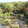 對龍山荘庭園を一般公開