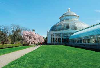 より美しいｎｙオアシス ニューヨーク植物園 Daily Sun New York