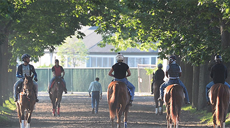 同競馬場の公式ホームページ（www.nyra.com）より