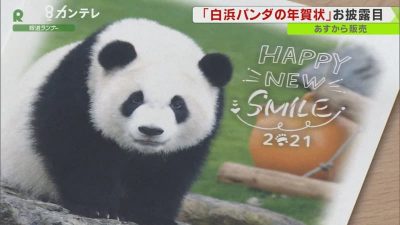 ６頭の パンダファミリー がプリントされた パンダの年賀はがき 28日から販売 Dailysun New York